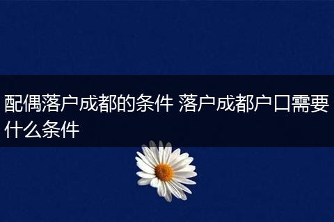 配偶落户成都的条件 落户成都户口需要什么条件