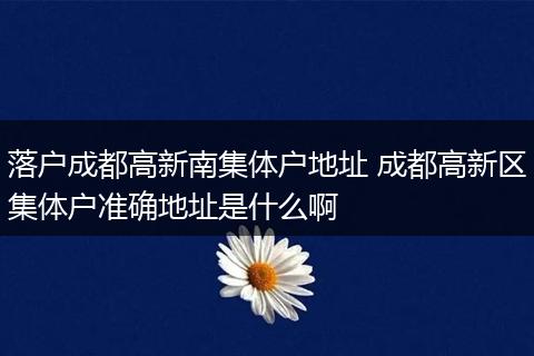 落户成都高新南集体户地址 成都高新区集体户准确地址是什么啊