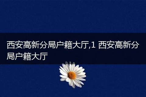 西安高新分局户籍大厅,1 西安高新分局户籍大厅