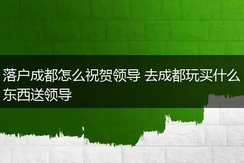 落户成都怎么祝贺领导 去成都玩买什么东西送领导
