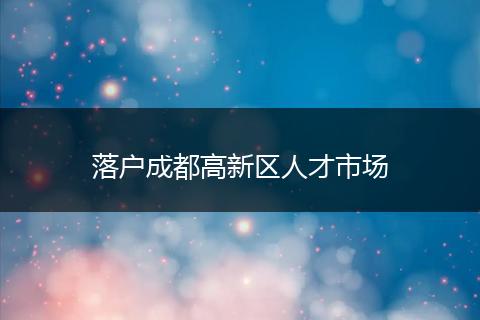落户成都高新区人才市场