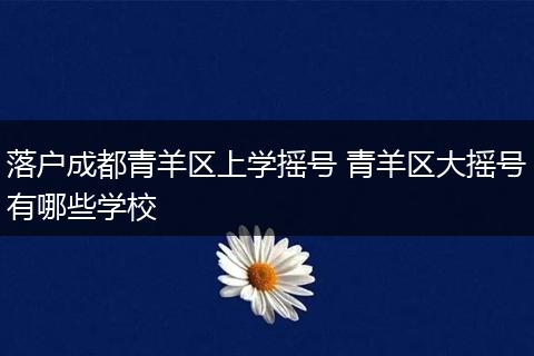 落户成都青羊区上学摇号 青羊区大摇号有哪些学校