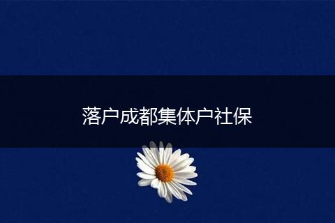 落户成都集体户社保