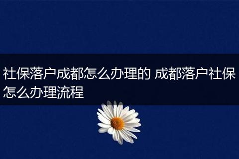 社保落户成都怎么办理的 成都落户社保怎么办理流程