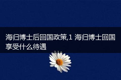 海归博士后回国政策,1 海归博士回国享受什么待遇