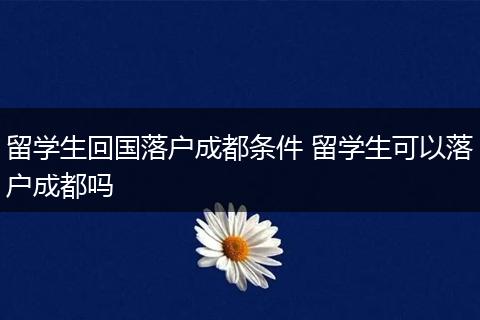 留学生回国落户成都条件 留学生可以落户成都吗