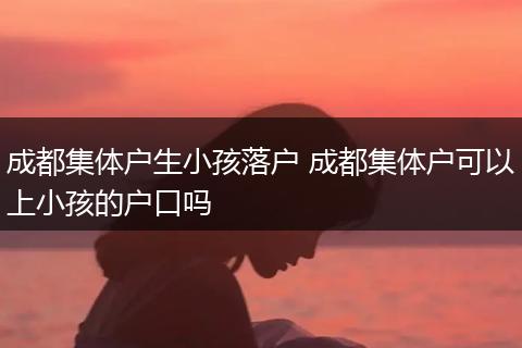成都集体户生小孩落户 成都集体户可以上小孩的户口吗