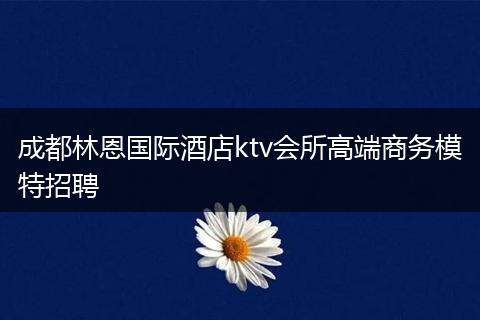 成都林恩国际酒店ktv会所高端商务模特招聘
