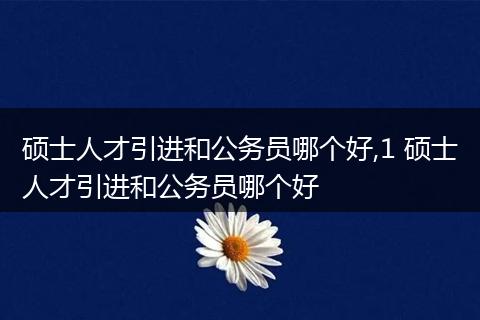 硕士人才引进和公务员哪个好,1 硕士人才引进和公务员哪个好
