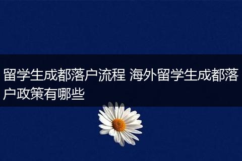 留学生成都落户流程 海外留学生成都落户政策有哪些