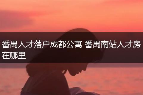 番禺人才落户成都公寓 番禺南站人才房在哪里