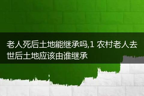 老人死后土地能继承吗,1 农村老人去世后土地应该由谁继承