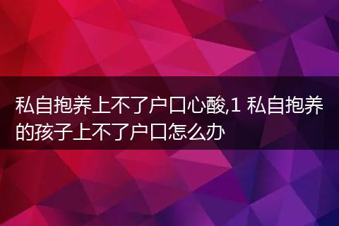 私自抱养上不了户口心酸,1 私自抱养的孩子上不了户口怎么办