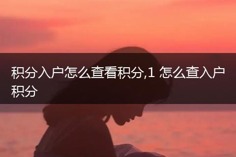 积分入户怎么查看积分,1 怎么查入户积分