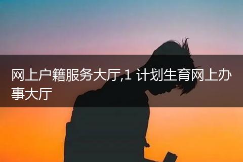 网上户籍服务大厅,1 计划生育网上办事大厅