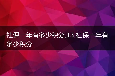 社保一年有多少积分,13 社保一年有多少积分