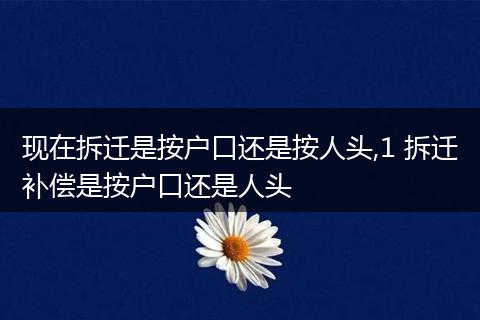 现在拆迁是按户口还是按人头,1 拆迁补偿是按户口还是人头