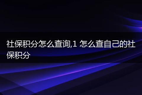 社保积分怎么查询,1 怎么查自己的社保积分