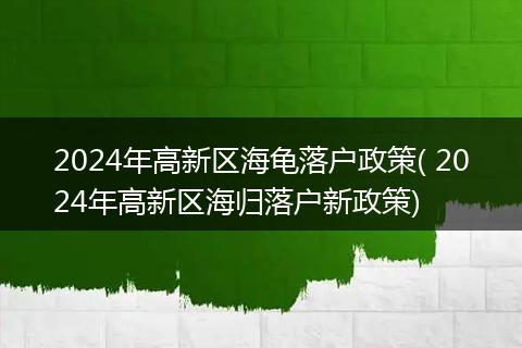 2024年高新区海龟落户政策( 2024年高新区海归落户新政策)
