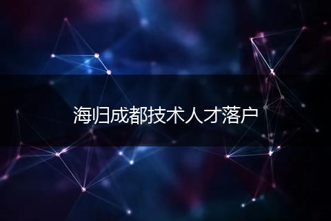 海归成都技术人才落户