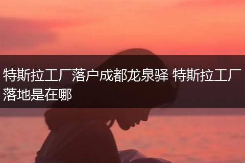 特斯拉工厂落户成都龙泉驿 特斯拉工厂落地是在哪