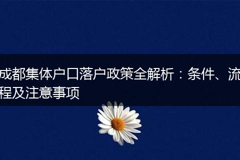 成都集体户口落户政策全解析：条件、流程及注意事项