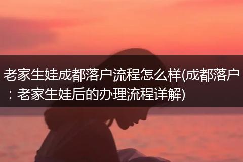 老家生娃成都落户流程怎么样(成都落户:老家生娃后的办理流程详解)