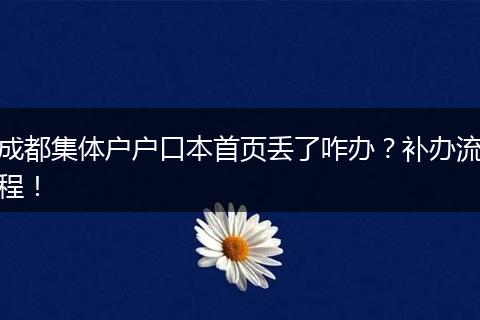 成都集体户户口本首页丢了咋办?补办流程!
