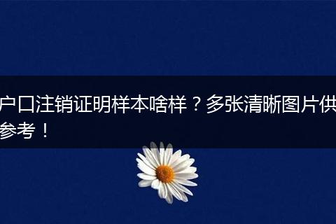 户口注销证明样本啥样?多张清晰图片供参考!