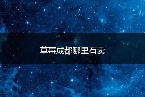 草莓成都哪里有卖