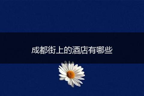 成都街上的酒店有哪些