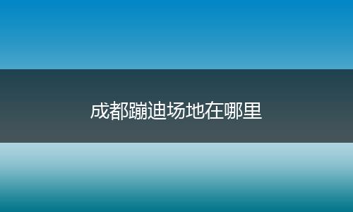 成都蹦迪场地在哪里