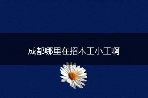 成都哪里在招木工小工啊