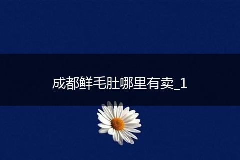 成都鲜毛肚哪里有卖_1