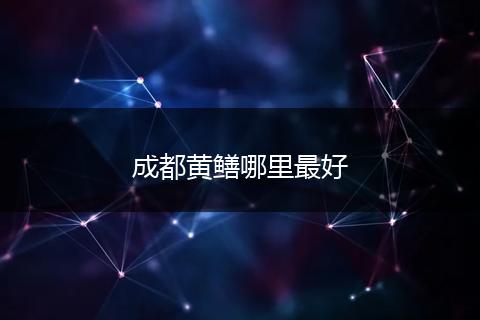成都黄鳝哪里最好