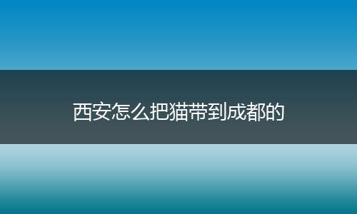 西安怎么把猫带到成都的
