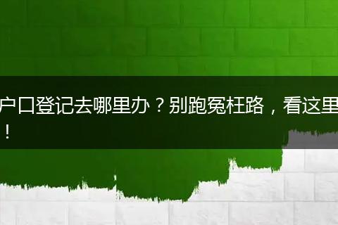 户口登记去哪里办?别跑冤枉路,看这里!