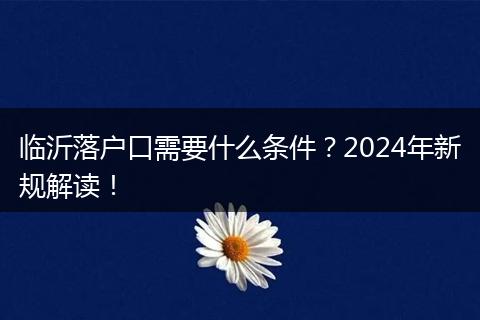 临沂落户口需要什么条件?2024年新规解读!