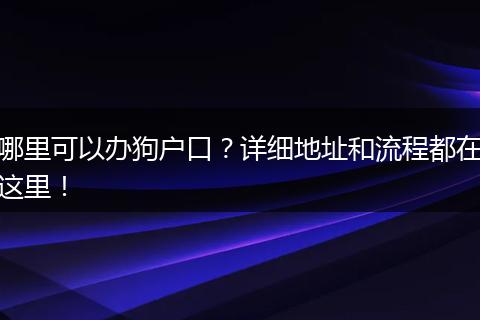 哪里可以办狗户口?详细地址和流程都在这里!