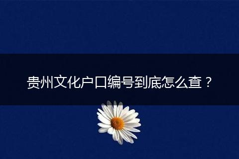 贵州文化户口编号到底怎么查?