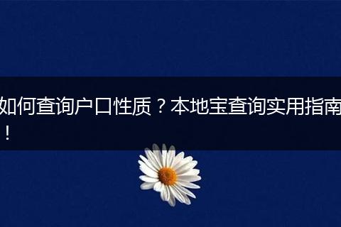如何查询户口性质?本地宝查询实用指南!