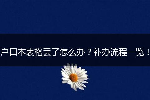 户口本表格丢了怎么办?补办流程一览!