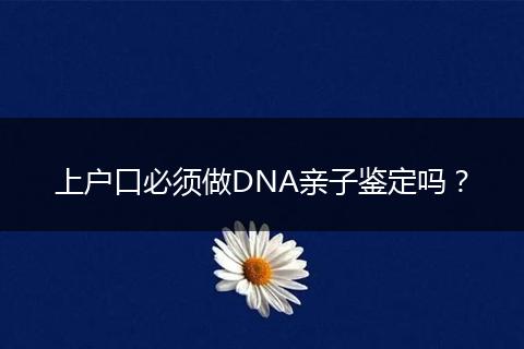上户口必须做DNA亲子鉴定吗?