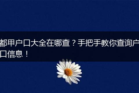 都甲户口大全在哪查?手把手教你查询户口信息!