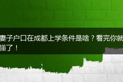 妻子户口在成都上学条件是啥？看完你就懂了！