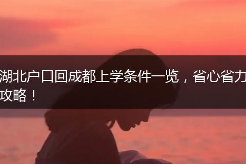 湖北户口回成都上学条件一览，省心省力攻略！