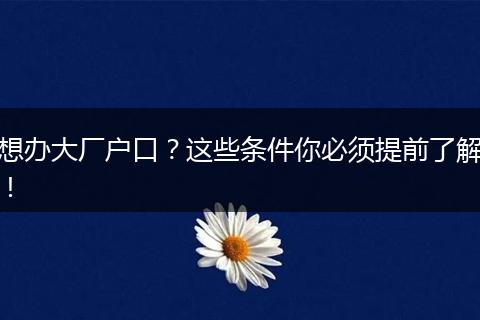 想办大厂户口？这些条件你必须提前了解！