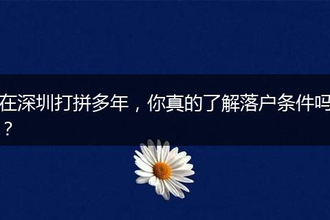 在深圳打拼多年，你真的了解落户条件吗？