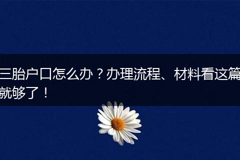三胎户口怎么办?办理流程、材料看这篇就够了!