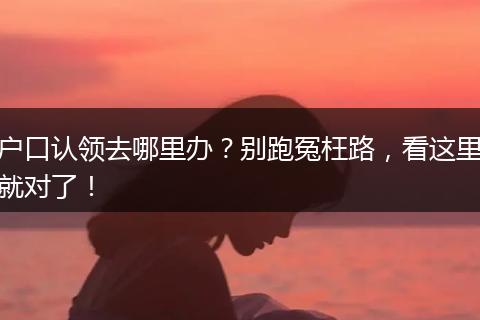 户口认领去哪里办？别跑冤枉路，看这里就对了！